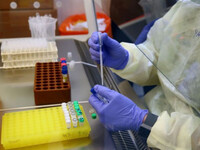 Ευλογιά των πιθήκων: Τα «ορφανά» κρούσμα...