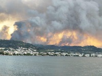 Δραματική έκκληση της ΕΛ.ΑΣ. για άμεση α...