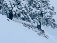 Με χιονόπτωση η πρώτη μέρα της άνοιξης σ...