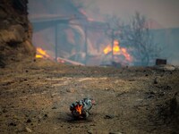 Ηλεία: Καλύτερη η εικόνα- Φόβοι για αναζ...