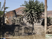 Θεσσαλία: Νεκρά ζώα παντού, μολυσμένο νε...