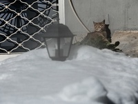 Σε ποια περιοχή της Ελλάδας το θερμόμετρ...