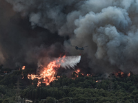 Φωτιά: Μια ανάσα από τα ανάκτορα στο Τατ...