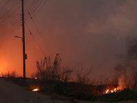 Φωτιά στην Βαρυμπόμπη: Σε κατάσταση μέγι...