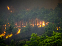 Φωτιά στη Ρόδο: Καίει ανεξέλεγκτη σε τρί...