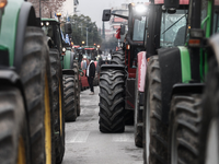 Αχαΐα: Συνεχίζονται οι κινητοποιήσεις αγ...