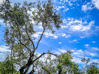 Καιρός: Το στάσιμο βαρομετρικό χαμηλό φέ...