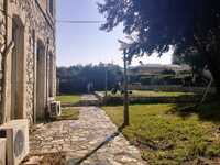 Βραχνέικα: «Ο πόνος ξεκινάει πάντα από τ...