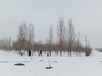 Αχαΐα - Αιτωλοακαρνανία: Σοβαρά προβλήμα...