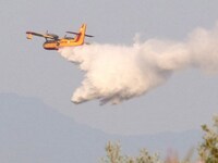 Ηλεία: Νέα μεγάλη πυρκαγιά στα Ζαχαραίικ...