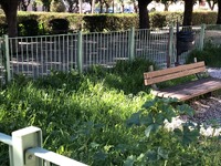 Παιδική χαρά – ζούγκλα στην πλατεία Αγίας Τριάδος