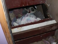 Ζωντανή βρέθηκε 6χρονη - Από το 2019 ήτα...