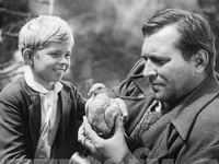 Πάτρα: Συνεχίζονται απόψε και την Τετάρτ...