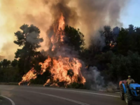 Φωτιά: Μάχη σε δύο μέτωπα στην Ηλεία 