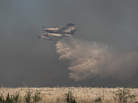 Φωτιές: Αναζωπυρώσεις σε Αιγιάλεια, Μαγν...