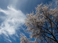 Καιρός: "Καλοκαιριάζει" την Πέ...