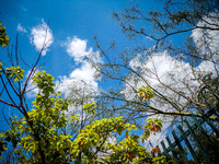 Καιρός σήμερα: Πρωτομηνιά με μεσημεριανέ...