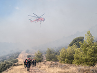 Φωτιά στην Εύβοια - Εκκενώνεται το Κοντοδεσπότι