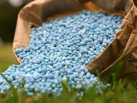 ΣΠΕΛ: Κίνδυνος για ελλείψεις λιπασμάτων ...