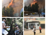 Η φωτιά στην Πάτρα μέσα από 100+ ΦΩΤΟΓΡΑΦΙΕΣ