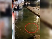 Blue Horizon:  Ποιος έπρεπε να είναι ο ρ...