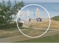 Χαλκιδική: Λύκος επιτέθηκε και τραυμάτισ...