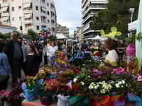 Πάτρα: Σε Ψηλαλώνια και Ομόνοια η υποδοχ...