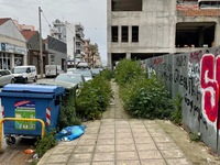 Πάτρα: Μπήκε η άνοιξη, "φουντώνουν&...