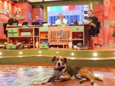 Γιατί αναβάλλεται η πρεμιέρα των «Ράδιο ...