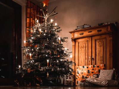 Τι αποκαλύπτει το χριστουγεννιάτικο δέντ...