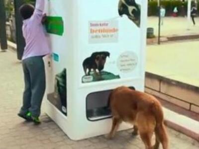 ΔΕΙΤΕ πώς οι Τούρκοι ανακυκλώνουν, ταΐζο...