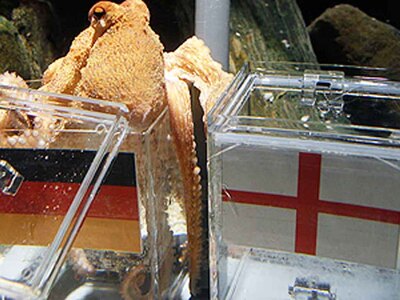 Η Ισπανία θα είναι η νικήτρια ομάδας του...