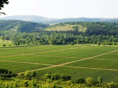 Αγρίνιο: Ο δορυφόρος ήταν σκάρτος