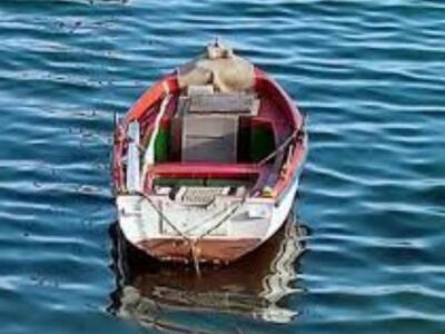 Δυτική Ελλάδα: Βυθίστηκε η βάρκα του και...