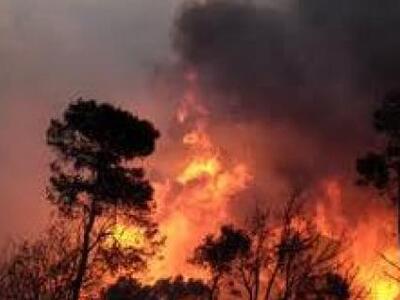 Δυτική Ελλάδα: Υποβολή αιτήσεων για το π...