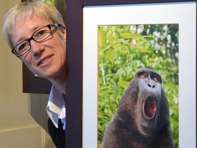 Οι  πιο... περίεργες και ανεξήγητες ιστο...