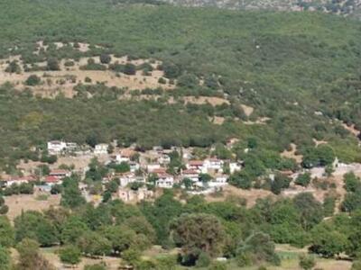 Πάτρα: Η νεαρή απο το Τρεχλό Καλαβρύτων ...