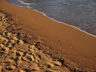Κορωνοϊός: Μεταδίδεται από την άμμο και ...