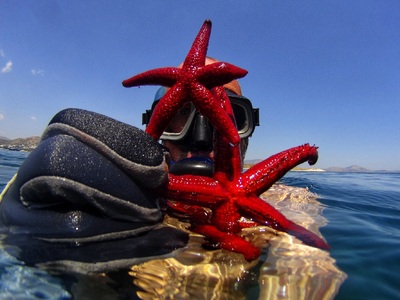 Aνακαλύπτοντας τους θησαυρούς του βυθού