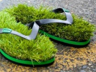 Επιστροφή στην φύση