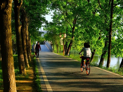 Περπάτημα ή ποδηλασία; Τα οφέλη σε αντοχ...