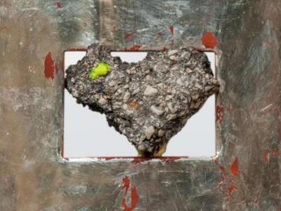 Greece_in_Piece ο τίτλος έκθεσηςτης Βασι...