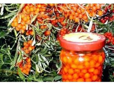 Ιπποφαές: Θρεπτικά συστατικά κατά της γή...