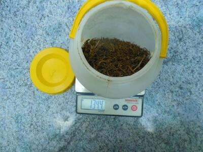 Πάτρα - Λιμεναρχείο:Κατάσχεση ναρκωτικών...