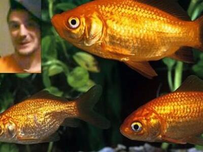 Βρετανία: Τον άφησε, και σκότωσε τα 5 χρ...