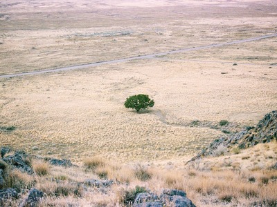 φωτο αρχείου pixabay.com