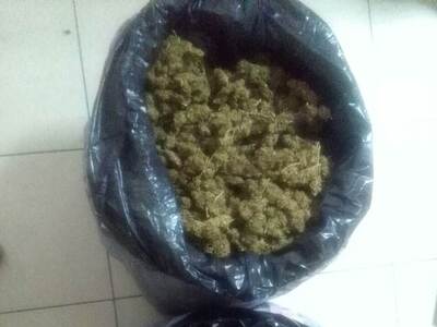 Πύργος: Εντοπίσθηκαν ακόμη 13 κιλά κάννα...