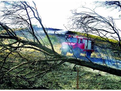 Πάτρα: Αναβάλλεται η συνεδρίαση του Συντ...