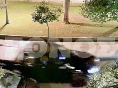 Μπισμπίκης: Η στιγμή που «παίρνει σβάρνα...