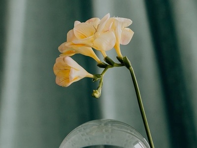 Εορτολόγιο: Ποιοι γιορτάζουν σήμερα, 18 Ιουλίου